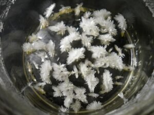 Buy DMT Crystals Online