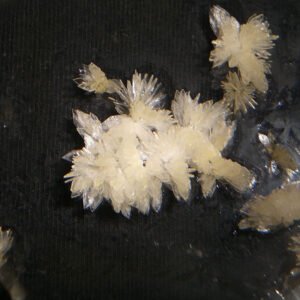 DMT Crystals Online