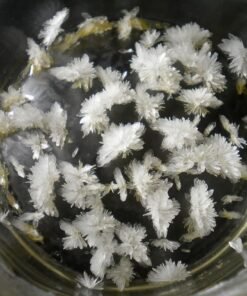 Buy DMT Crystals Online