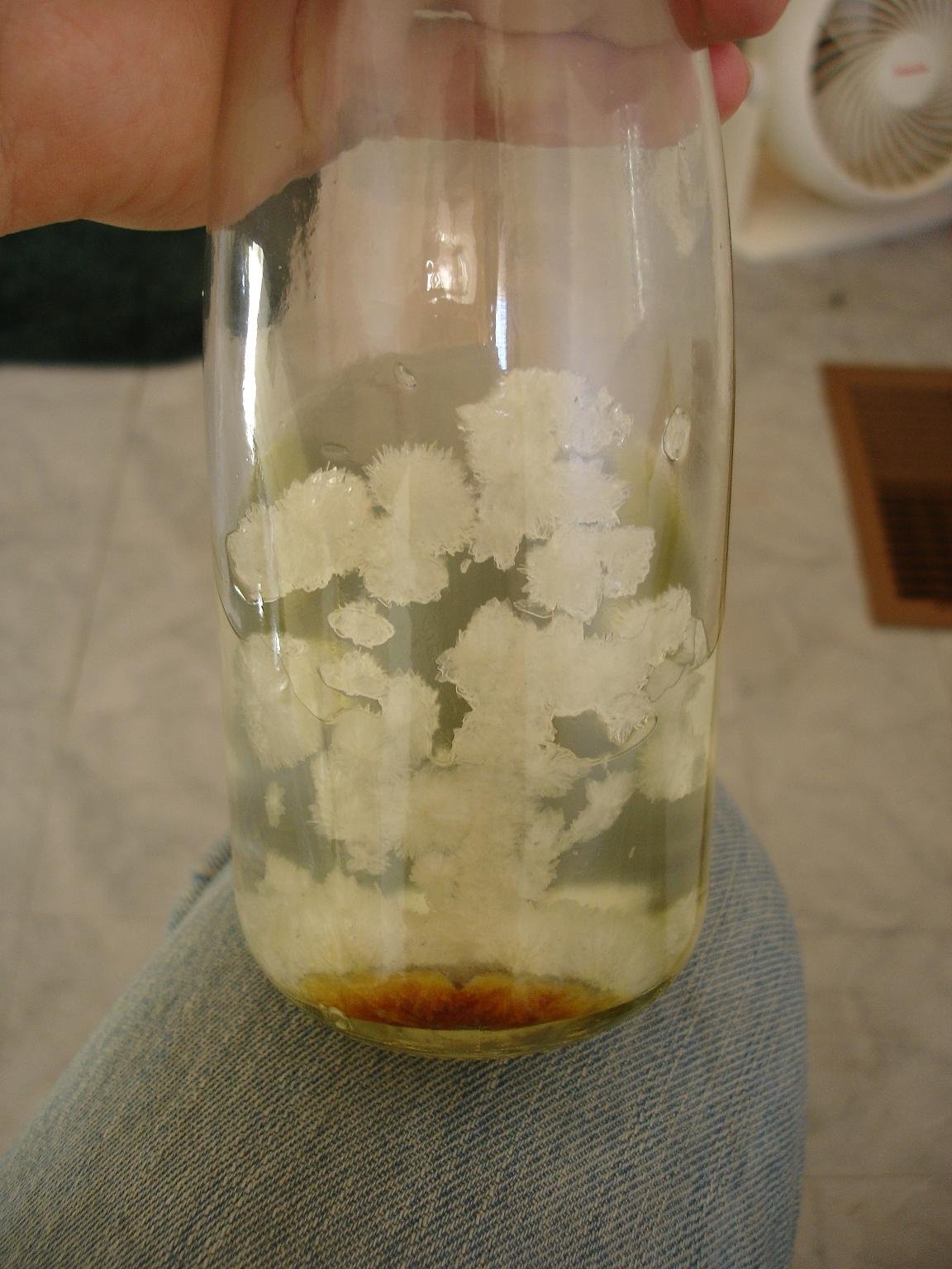 Buy DMT Crystals