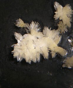 DMT Crystals Online