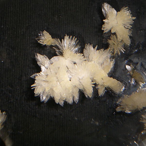 DMT Crystals Online